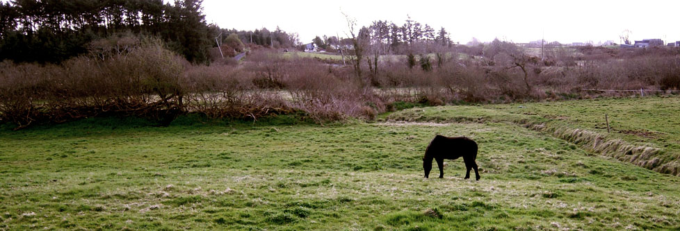 Walking Holidays Westport, Mayo - Scenic countryside walks in the West of Ireland