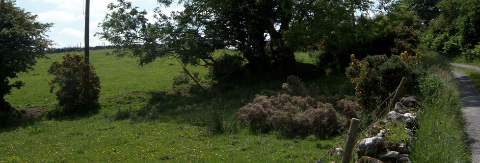 Walking Holidays Claremorris, Westport - Scenic countryside walks in the West of Ireland